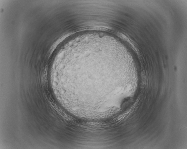 X0000081600875200702051327