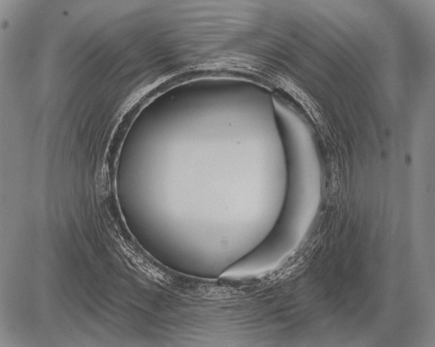 X0000081600876200702051327