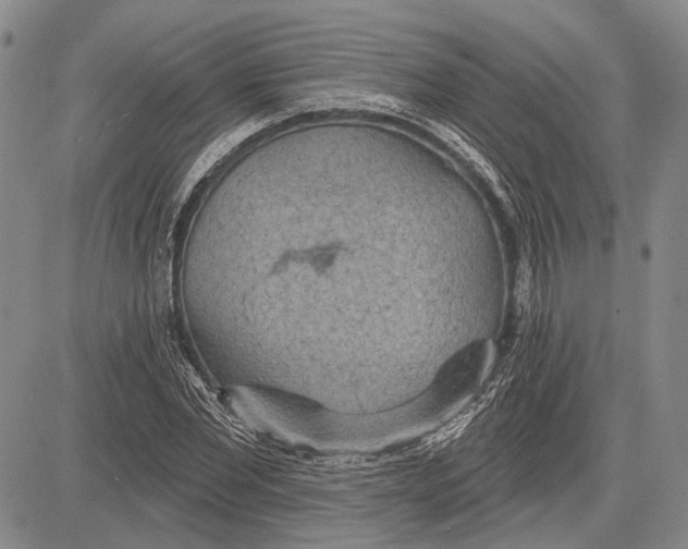 X0000081600877200702051326