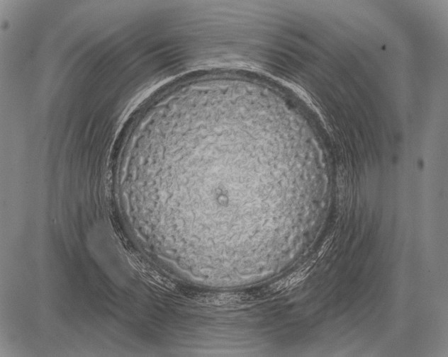 X0000081600879200702051326