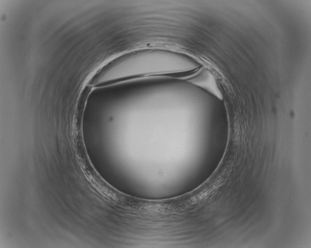 X0000081600880200702051326