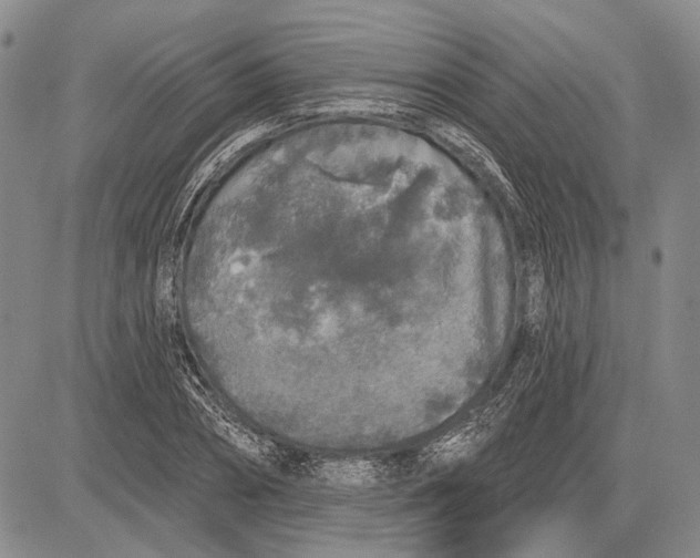 X0000081600882200702051326