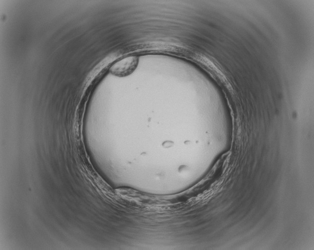 X0000081600883200702051326