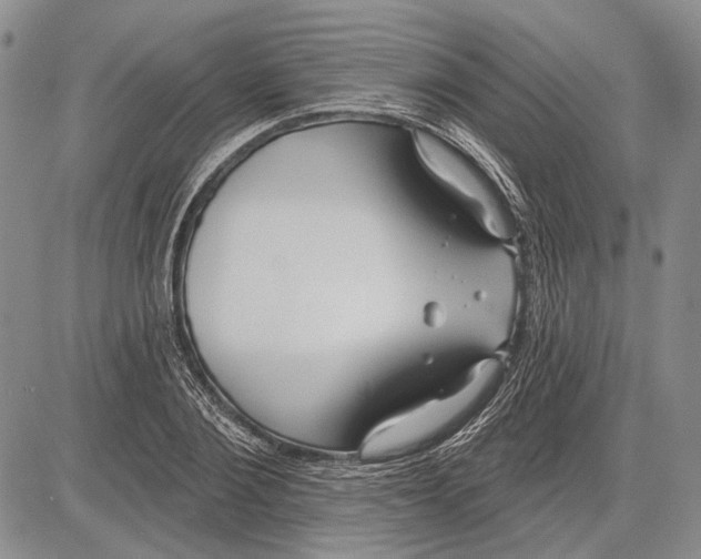 X0000081600884200702051326