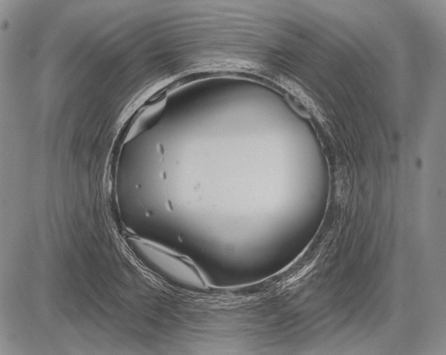 X0000081600885200702051326