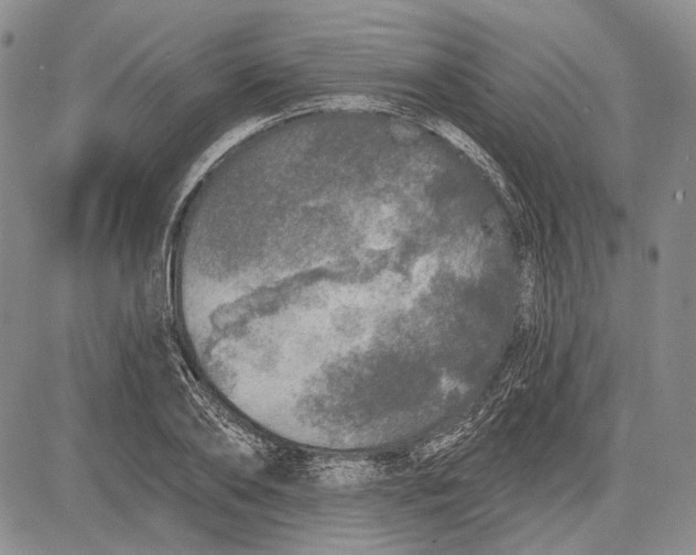 X0000081600886200702051326