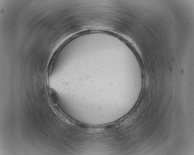 X0000081600887200702051326