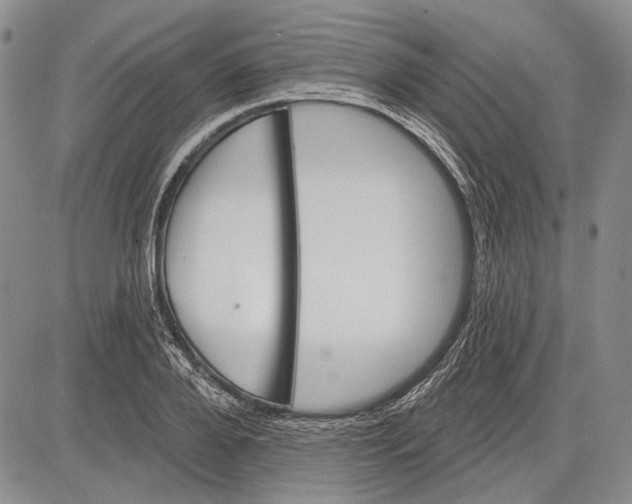 X0000081600888200702051326