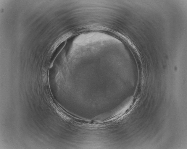 X0000081600889200702051326