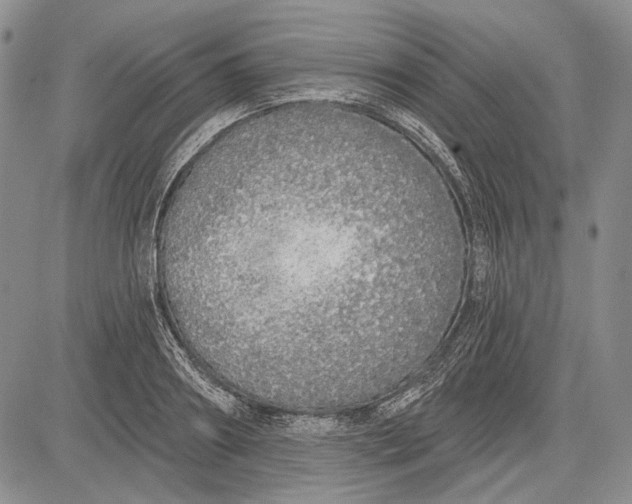 X0000081600890200702051326