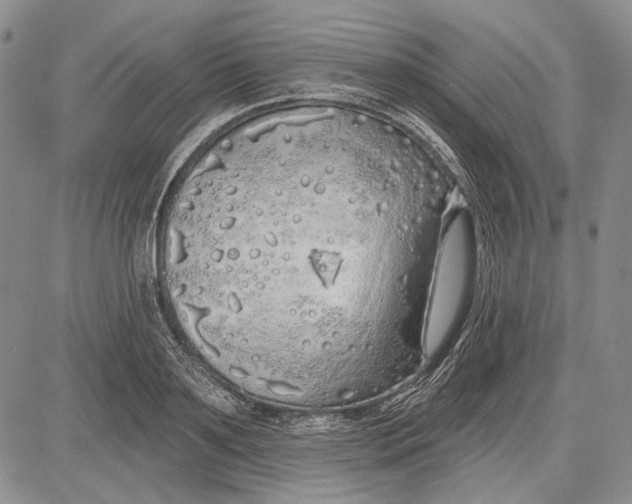 X0000081600891200702051326