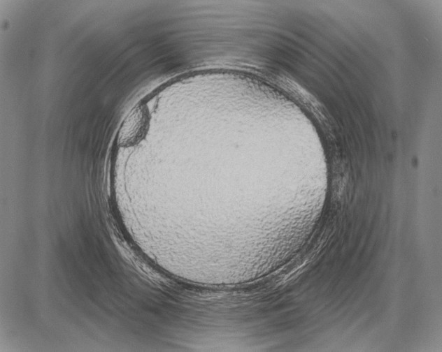 X0000081600892200702051326