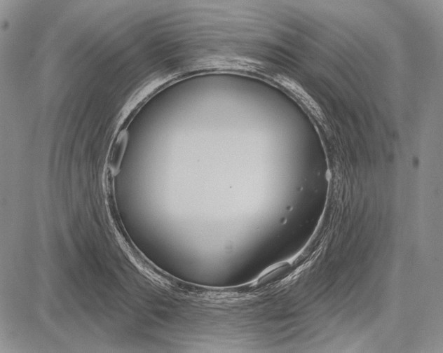 X0000081600893200702051326