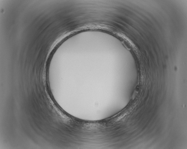 X0000081600894200702051326