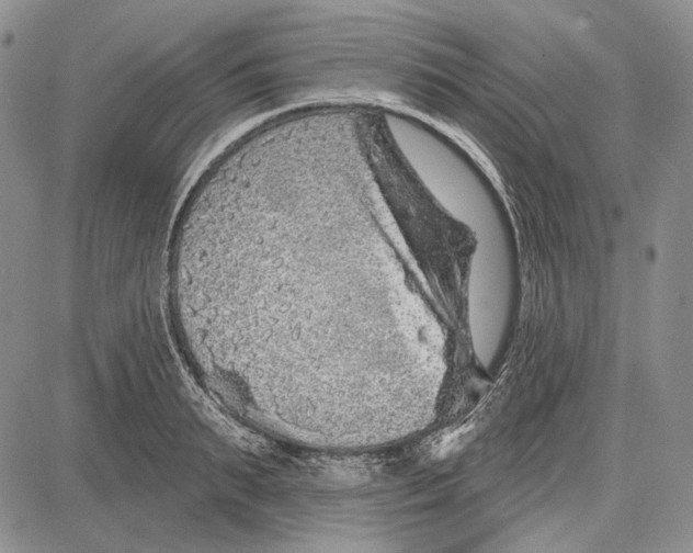 X0000081600895200702051326