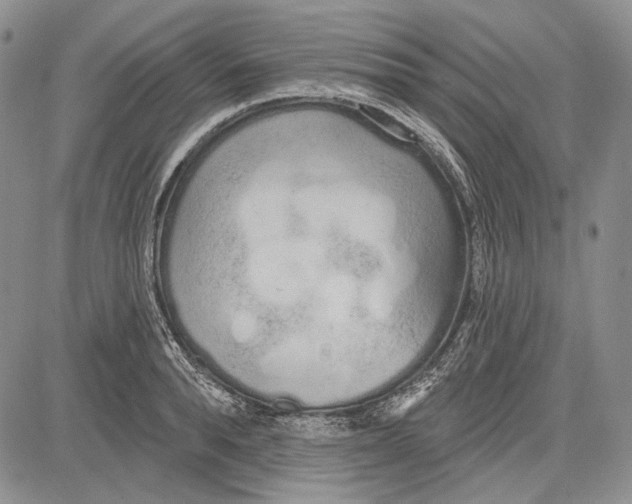 X0000081600896200702051326