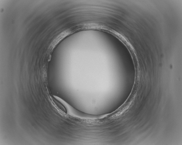 X0000081600897200702051326