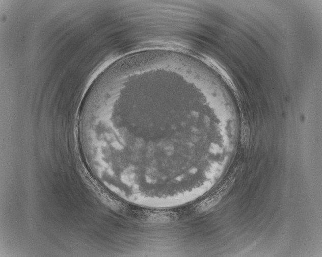 X0000081600899200702051326