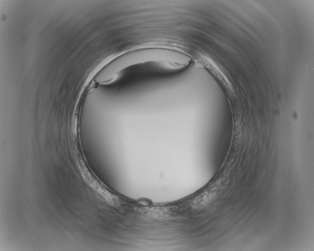 X0000081600900200702051326