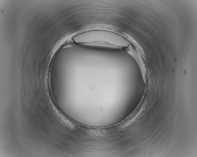 X0000081600901200702051326