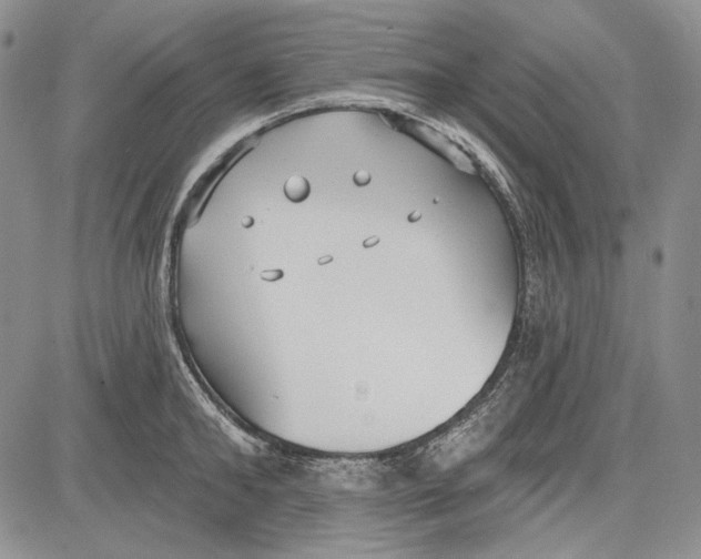 X0000081600902200702051326