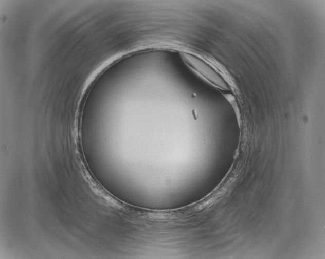 X0000081600904200702051326