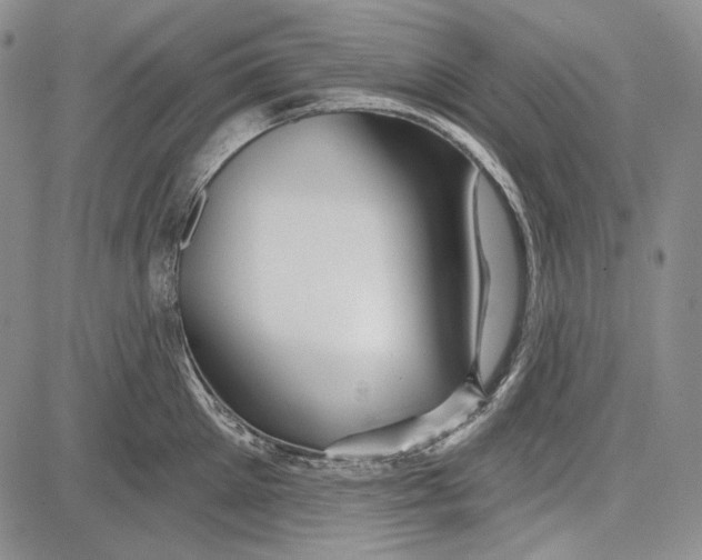 X0000081600905200702051326