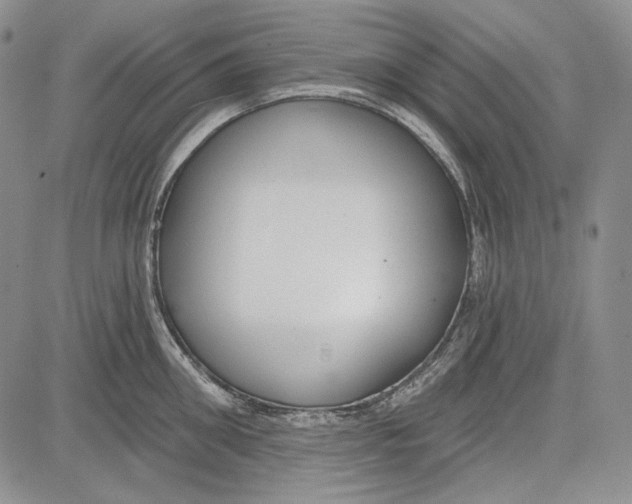 X0000081600906200702051326