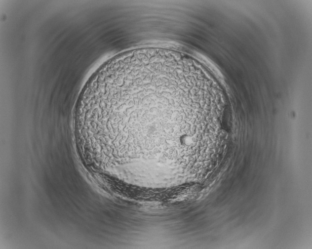 X0000081600907200702051326