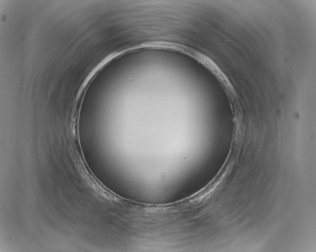 X0000081600908200702051326