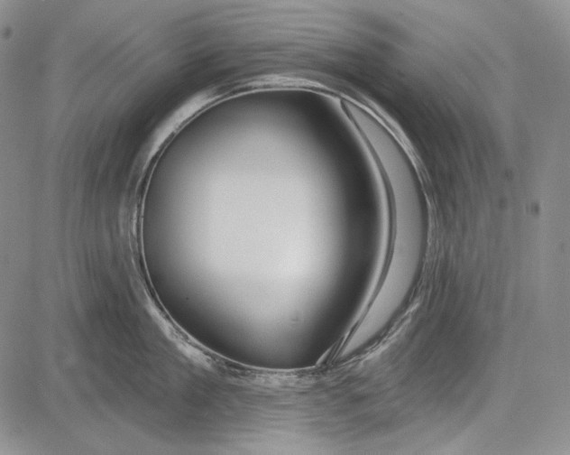 X0000081600909200702051326