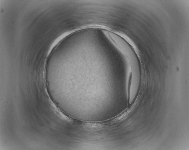 X0000081600910200702051326