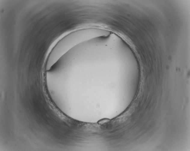 X0000081600912200702051326