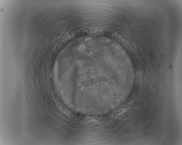 X0000081600913200702051325