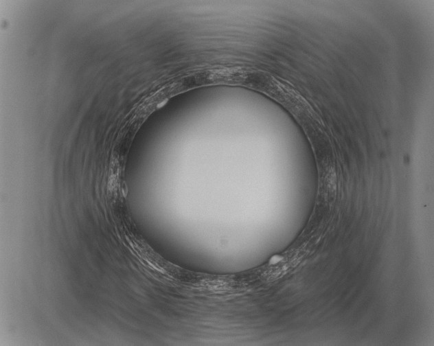 X0000081600914200702051325