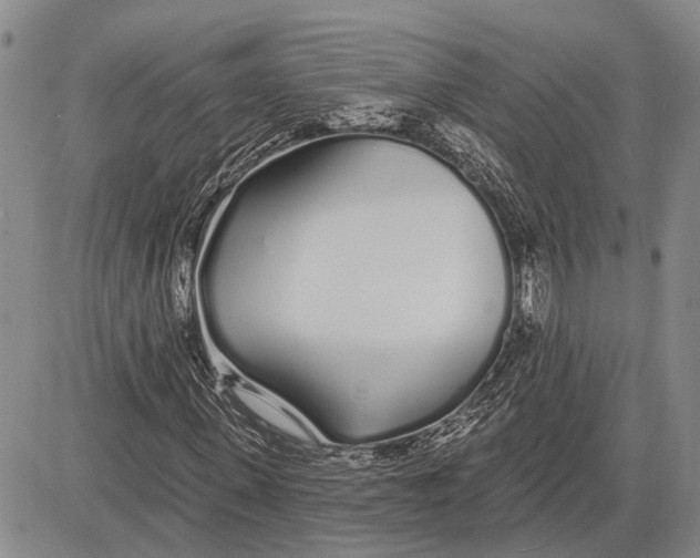 X0000081600915200702051325