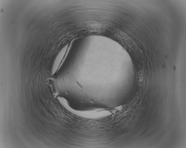 X0000081600916200702051325