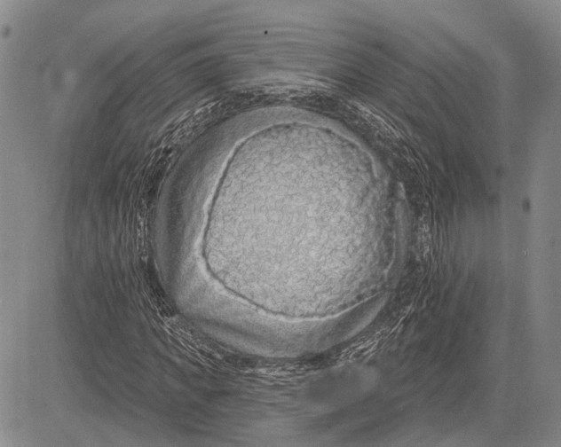 X0000081600917200702051325