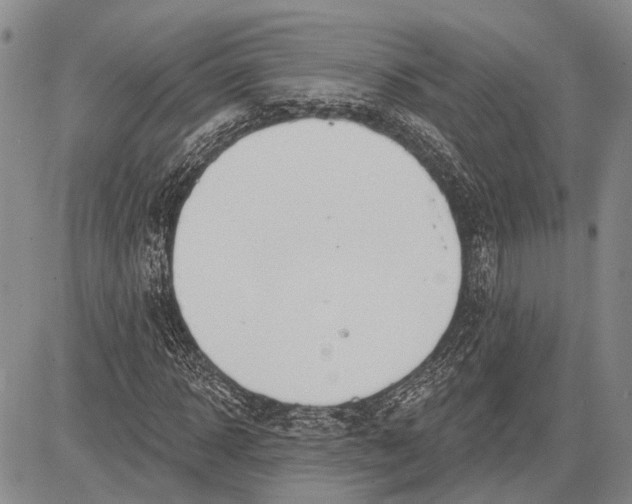 X0000081600918200702051325