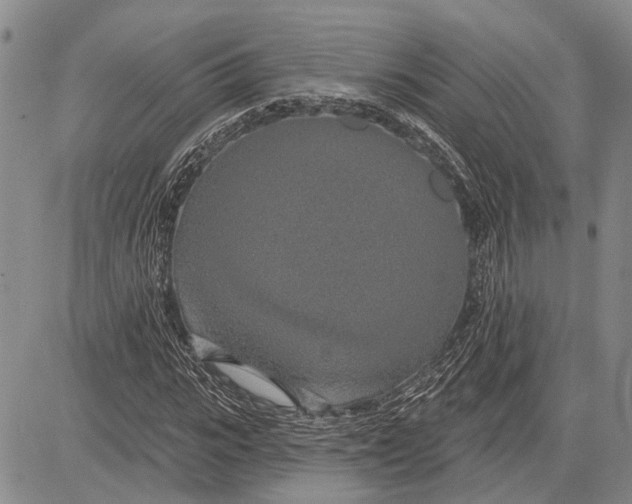 X0000081600919200702051325