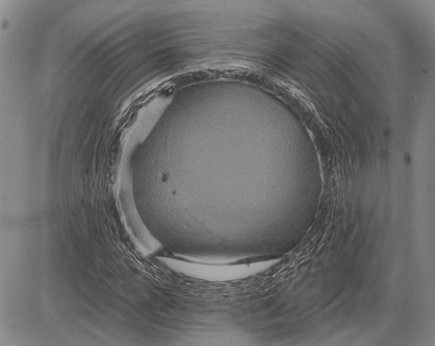 X0000081600920200702051325