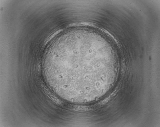 X0000081600921200702051325