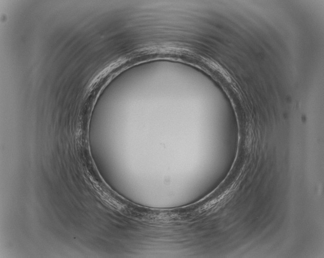 X0000081600922200702051325