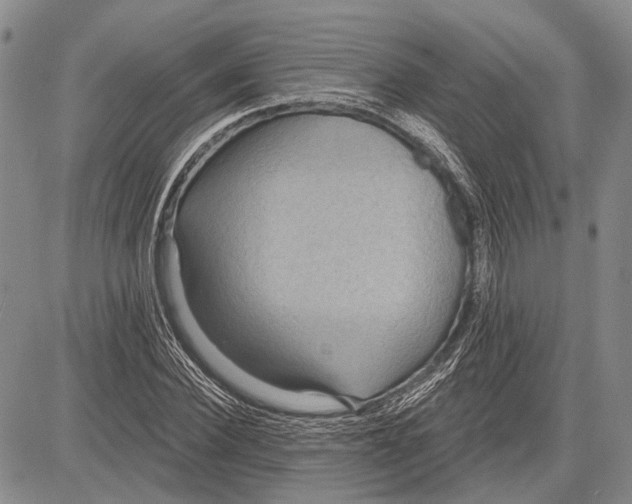 X0000081600924200702051325