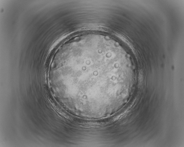 X0000081600925200702051325