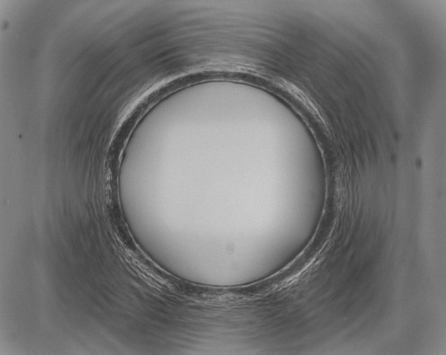 X0000081600926200702051325