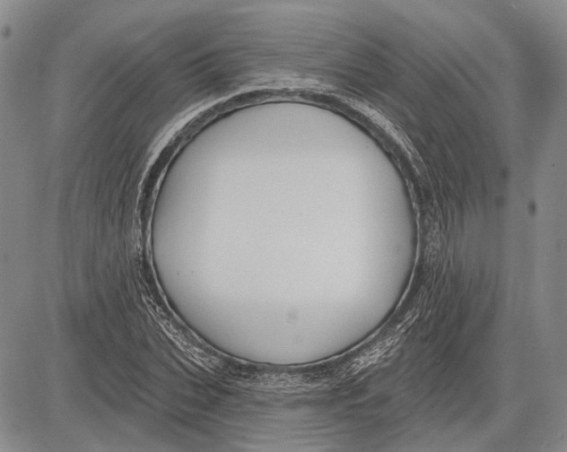 X0000081600927200702051325