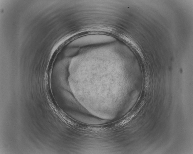 X0000081600928200702051325