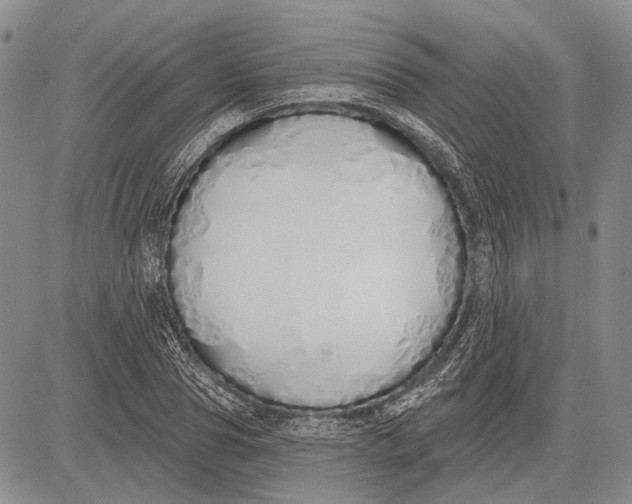 X0000081600929200702051325