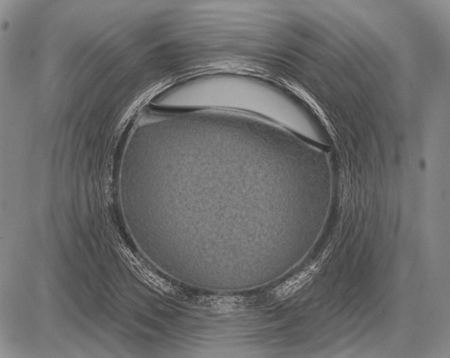 X0000081600930200702051325